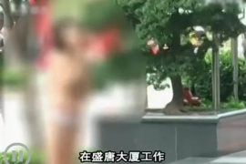 西充企业清欠服务